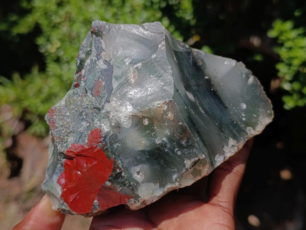 Natural Cobbed Bloodstone Specimens x 6 From Swaziland - Toprock Gemstones and Minerals 