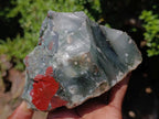 Natural Cobbed Bloodstone Specimens x 6 From Swaziland - Toprock Gemstones and Minerals 
