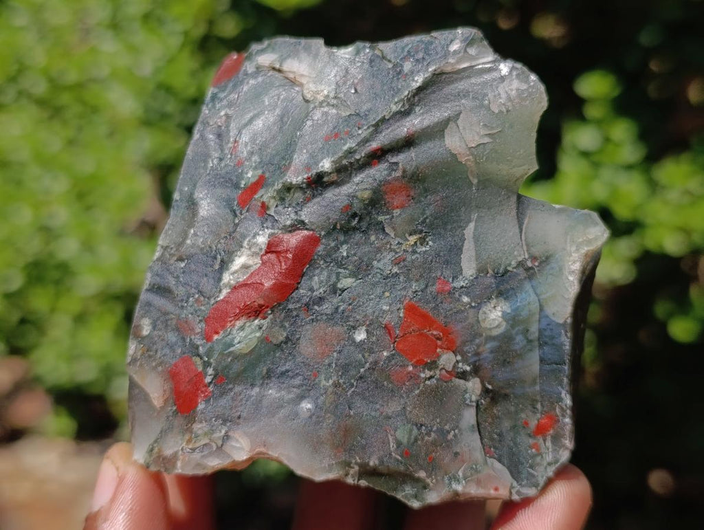 Natural Cobbed Bloodstone Specimens x 6 From Swaziland - Toprock Gemstones and Minerals 