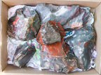 Natural Cobbed Bloodstone Specimens x 6 From Swaziland - Toprock Gemstones and Minerals 