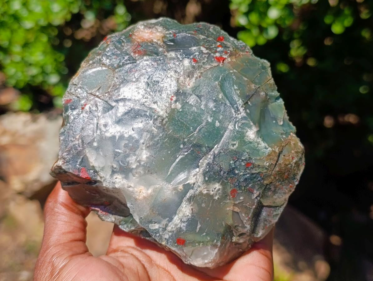 Natural Cobbed Bloodstone Specimens x 6 From Swaziland - Toprock Gemstones and Minerals 