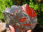 Natural Cobbed Bloodstone Specimens x 6 From Swaziland - Toprock Gemstones and Minerals 