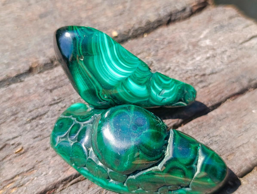 Polished and Natural Flower Banded Malachite Free Forms x 6 From Congo - Toprock Gemstones and Minerals 