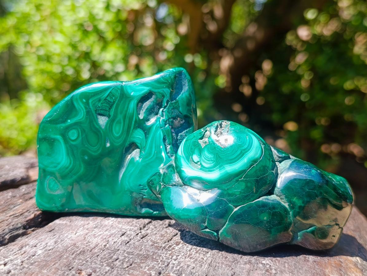 Polished and Natural Flower Banded Malachite Free Forms x 6 From Congo - Toprock Gemstones and Minerals 