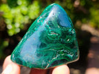 Polished and Natural Flower Banded Malachite Free Forms x 6 From Congo - Toprock Gemstones and Minerals 
