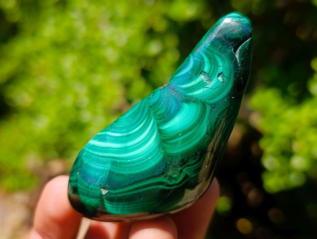 Polished and Natural Flower Banded Malachite Free Forms x 6 From Congo - Toprock Gemstones and Minerals 