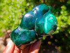 Polished and Natural Flower Banded Malachite Free Forms x 6 From Congo - Toprock Gemstones and Minerals 