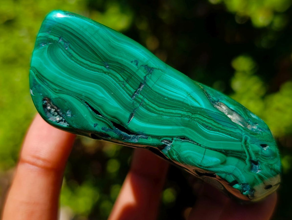 Polished and Natural Flower Banded Malachite Free Forms x 6 From Congo - Toprock Gemstones and Minerals 