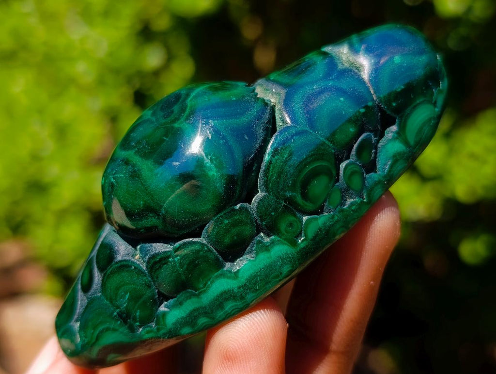 Polished and Natural Flower Banded Malachite Free Forms x 6 From Congo - Toprock Gemstones and Minerals 