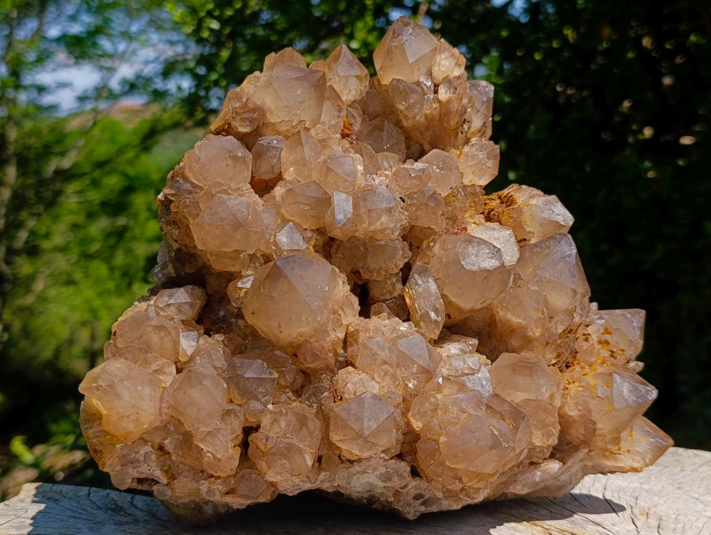 Natural XL Cascading Splayed Smokey Citrine Quartz Cluster x 1 From Luena, Congo - Toprock Gemstones and Minerals 