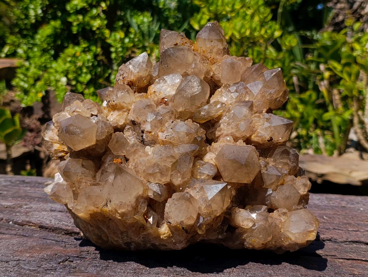 Natural XL Cascading Splayed Smokey Citrine Quartz Cluster x 1 From Luena, Congo - Toprock Gemstones and Minerals 