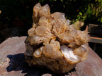 Natural XL Cascading Splayed Smokey Citrine Quartz Cluster x 1 From Luena, Congo - Toprock Gemstones and Minerals 