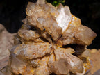 Natural XL Cascading Splayed Smokey Citrine Quartz Cluster x 1 From Luena, Congo - Toprock Gemstones and Minerals 