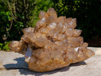Natural XL Cascading Splayed Smokey Citrine Quartz Cluster x 1 From Luena, Congo - Toprock Gemstones and Minerals 