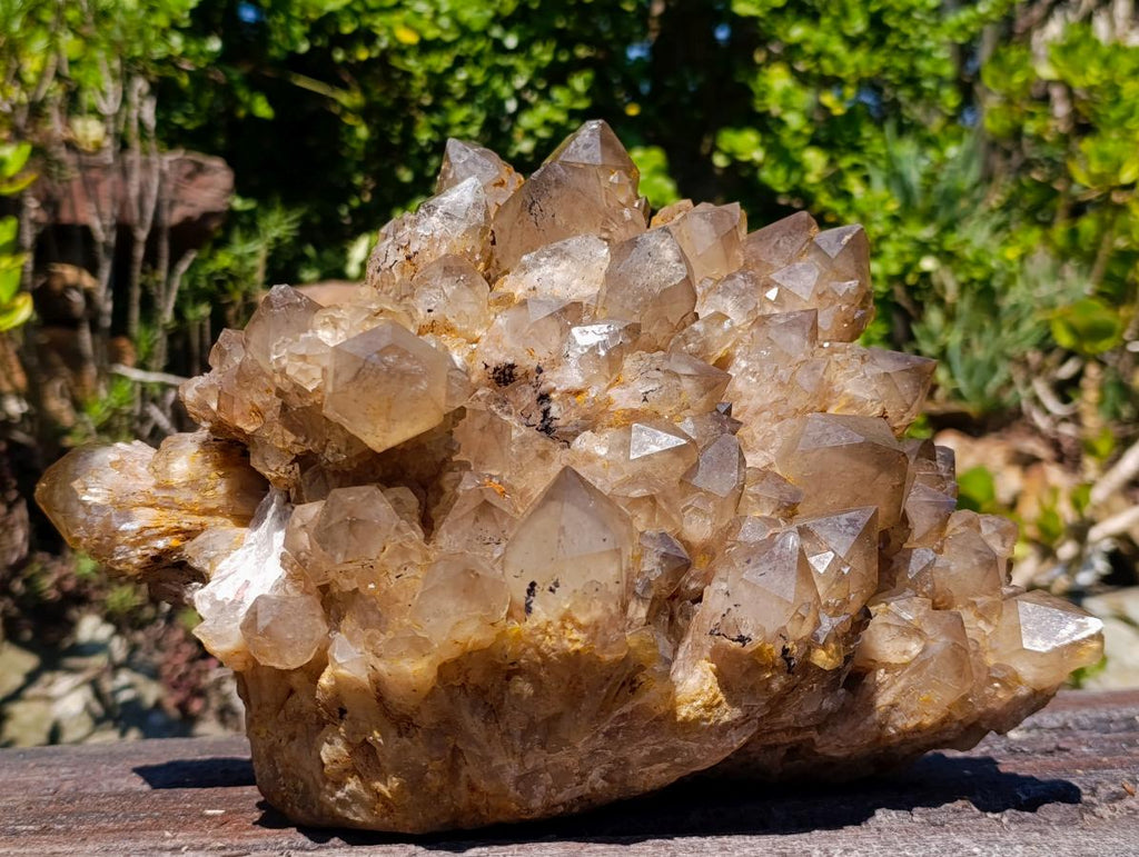 Natural XL Cascading Splayed Smokey Citrine Quartz Cluster x 1 From Luena, Congo - Toprock Gemstones and Minerals 