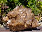 Natural XL Cascading Splayed Smokey Citrine Quartz Cluster x 1 From Luena, Congo - Toprock Gemstones and Minerals 