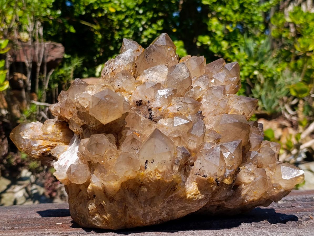 Natural XL Cascading Splayed Smokey Citrine Quartz Cluster x 1 From Luena, Congo - Toprock Gemstones and Minerals 