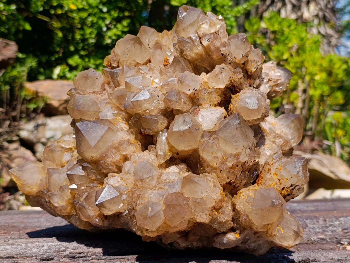 Natural XL Cascading Splayed Smokey Citrine Quartz Cluster x 1 From Luena, Congo - Toprock Gemstones and Minerals 