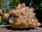 Natural XL Cascading Splayed Smokey Citrine Quartz Cluster x 1 From Luena, Congo - Toprock Gemstones and Minerals 