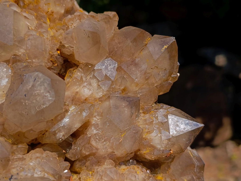 Natural XL Cascading Splayed Smokey Citrine Quartz Cluster x 1 From Luena, Congo - Toprock Gemstones and Minerals 