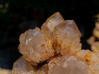 Natural XL Cascading Splayed Smokey Citrine Quartz Cluster x 1 From Luena, Congo - Toprock Gemstones and Minerals 