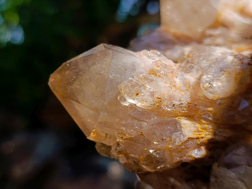 Natural XL Cascading Splayed Smokey Citrine Quartz Cluster x 1 From Luena, Congo - Toprock Gemstones and Minerals 
