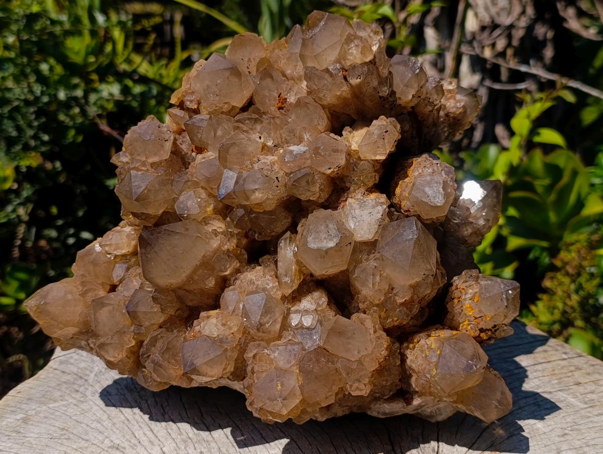 Natural XL Cascading Splayed Smokey Citrine Quartz Cluster x 1 From Luena, Congo - Toprock Gemstones and Minerals 