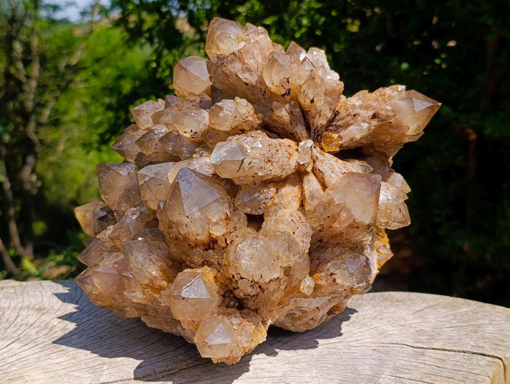 Natural XL Cascading Splayed Smokey Citrine Quartz Cluster x 1 From Luena, Congo - Toprock Gemstones and Minerals 