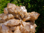 Natural XL Cascading Splayed Smokey Citrine Quartz Cluster x 1 From Luena, Congo - Toprock Gemstones and Minerals 