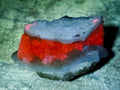 Natural Small Blue Lace Agate Geode Specimens x 35 From Nsanje, Malawi - Toprock Gemstones and Minerals 