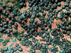 Natural Botryoidal Crystalline Malachite Specimens x 24 From Tenke Fungurume, Congo - Toprock Gemstones and Minerals 