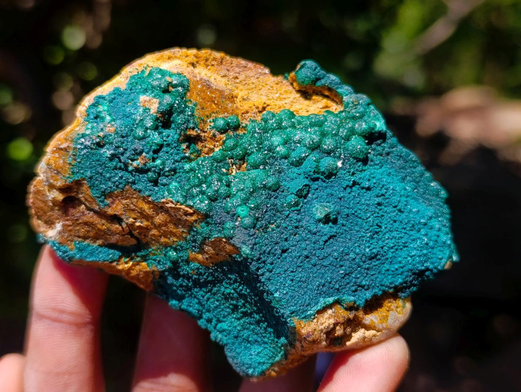 Natural Botryoidal Crystalline Malachite Specimens x 24 From Tenke Fungurume, Congo - Toprock Gemstones and Minerals 