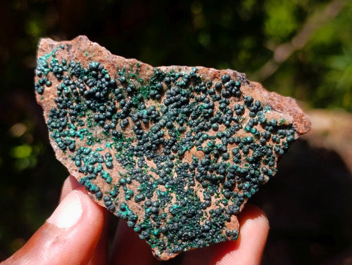 Natural Botryoidal Crystalline Malachite Specimens x 24 From Tenke Fungurume, Congo - Toprock Gemstones and Minerals 