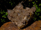 Natural Large Cascading White Phantom Smokey Luena Quartz Cluster x 1 From Luena, Congo - Toprock Gemstones and Minerals 