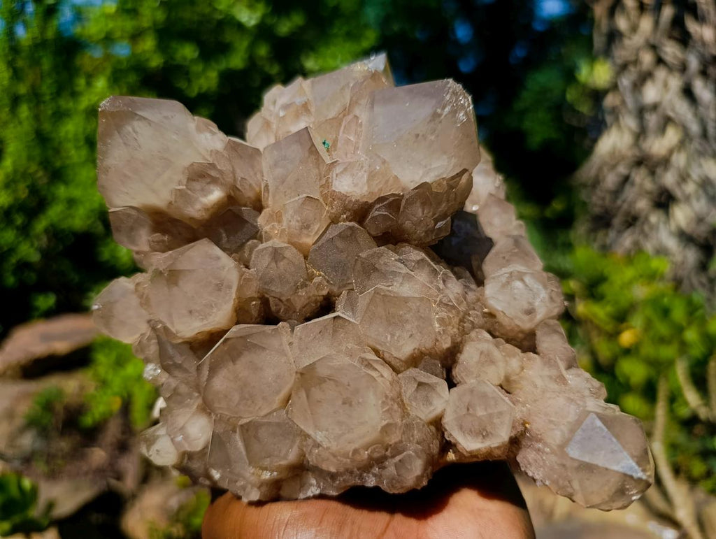 Natural Large Cascading White Phantom Smokey Luena Quartz Cluster x 1 From Luena, Congo - Toprock Gemstones and Minerals 