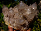 Natural Large Cascading White Phantom Smokey Luena Quartz Cluster x 1 From Luena, Congo - Toprock Gemstones and Minerals 
