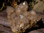 Natural Large Cascading White Phantom Smokey Luena Quartz Cluster x 1 From Luena, Congo - Toprock Gemstones and Minerals 