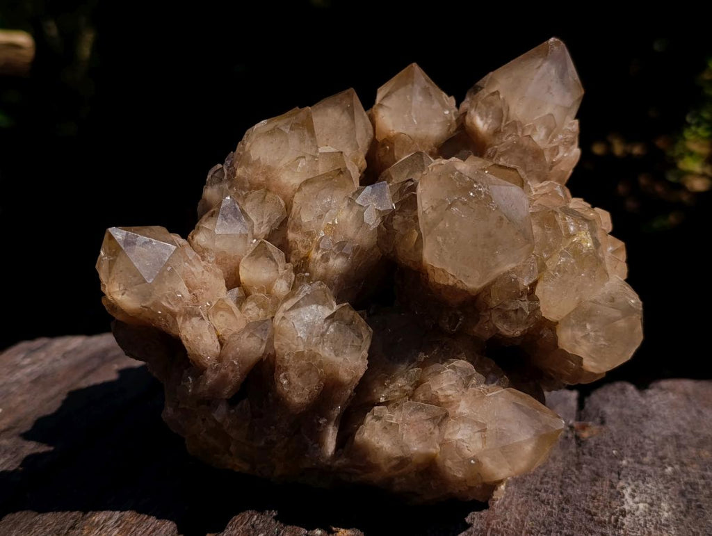 Natural Large Cascading White Phantom Smokey Luena Quartz Cluster x 1 From Luena, Congo - Toprock Gemstones and Minerals 