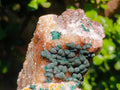 Natural Ball Malachite Specimen with Crystalline Quartz on Dolomite Matrix x 2 From Mindingi Mine, Kambove, Congo - Toprock Gemstones and Minerals 