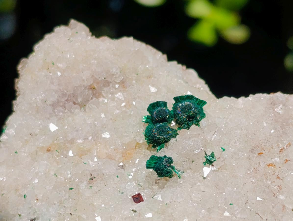 Natural Ball Malachite Specimen with Crystalline Quartz on Dolomite Matrix x 2 From Mindingi Mine, Kambove, Congo - Toprock Gemstones and Minerals 