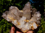 Natural Red Hematoid Quartz Crystal Clusters x 2 From Karoi, Zimbabwe - Toprock Gemstones and Minerals 