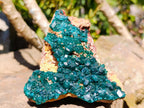 Natural Cabinet Size Dioptase Specimens on Dolomite Matrix x 2 From Tantara Mine, Congo - Toprock Gemstones and Minerals 