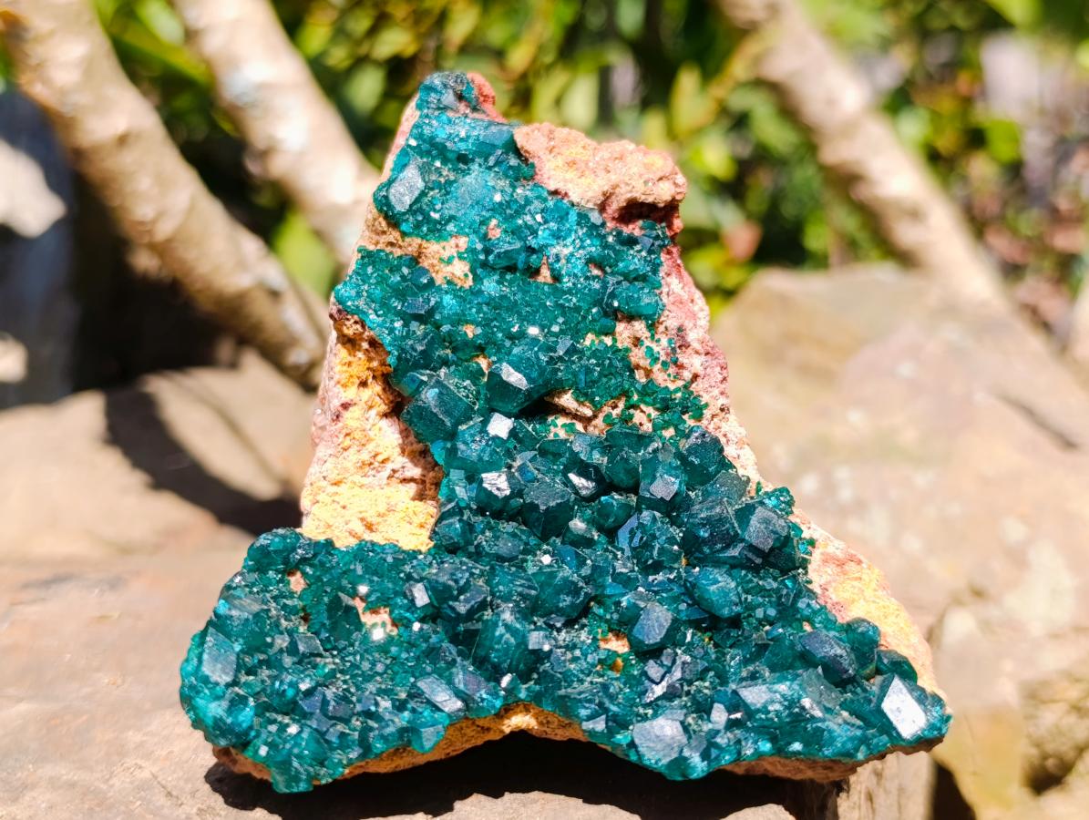 Natural Cabinet Size Dioptase Specimens on Dolomite Matrix x 2 From Tantara Mine, Congo - Toprock Gemstones and Minerals 