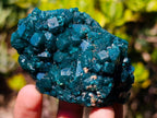 Natural Cabinet Size Dioptase Specimens on Dolomite Matrix x 2 From Tantara Mine, Congo - Toprock Gemstones and Minerals 