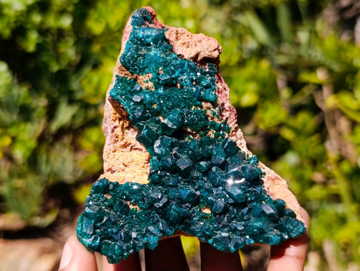 Natural Cabinet Size Dioptase Specimens on Dolomite Matrix x 2 From Tantara Mine, Congo - Toprock Gemstones and Minerals 