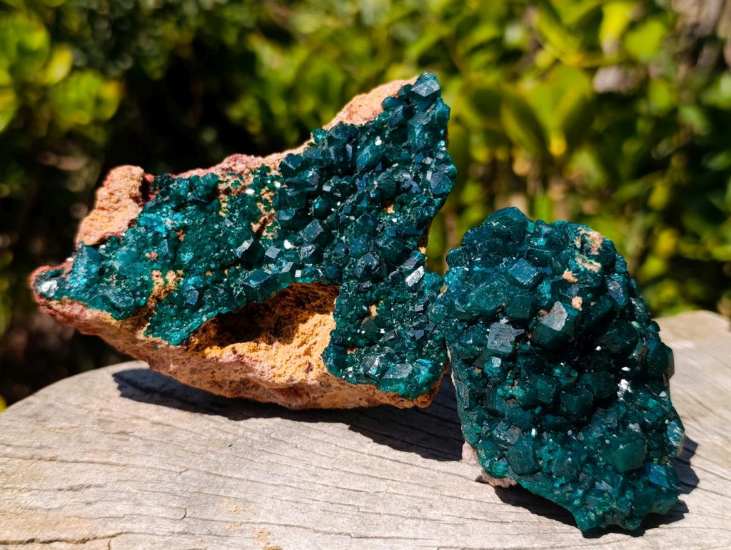 Natural Cabinet Size Dioptase Specimens on Dolomite Matrix x 2 From Tantara Mine, Congo - Toprock Gemstones and Minerals 