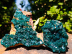Natural Cabinet Size Dioptase Specimens on Dolomite Matrix x 2 From Tantara Mine, Congo - Toprock Gemstones and Minerals 