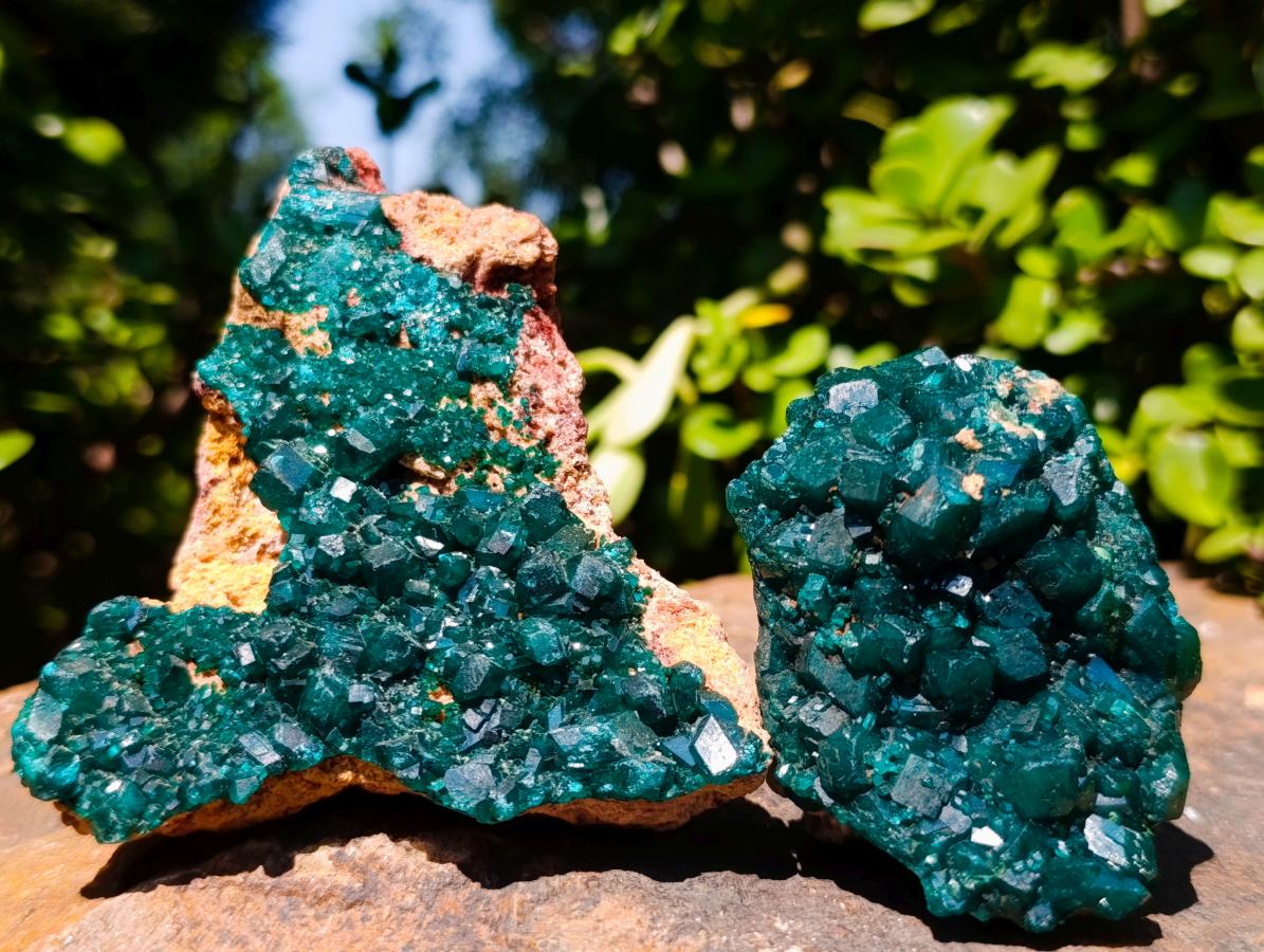 Natural Cabinet Size Dioptase Specimens on Dolomite Matrix x 2 From Tantara Mine, Congo - Toprock Gemstones and Minerals 