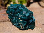 Natural Cabinet Size Dioptase Specimens on Dolomite Matrix x 2 From Tantara Mine, Congo - Toprock Gemstones and Minerals 