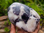 Polished Silver Leaf Lepidolite Standing Display Pieces x 2 From Zimbabwe - Toprock Gemstones and Minerals 